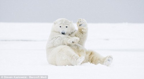 article-1243116-07DAC44D000005DC-397_634x350