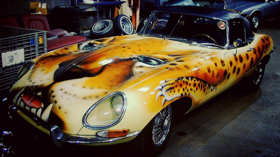 The Top 5 Cats That Are Cars